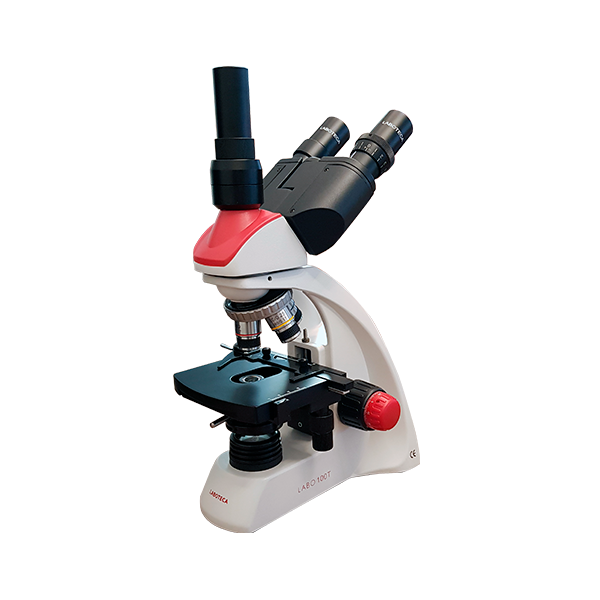 Microscopio triocular biológico